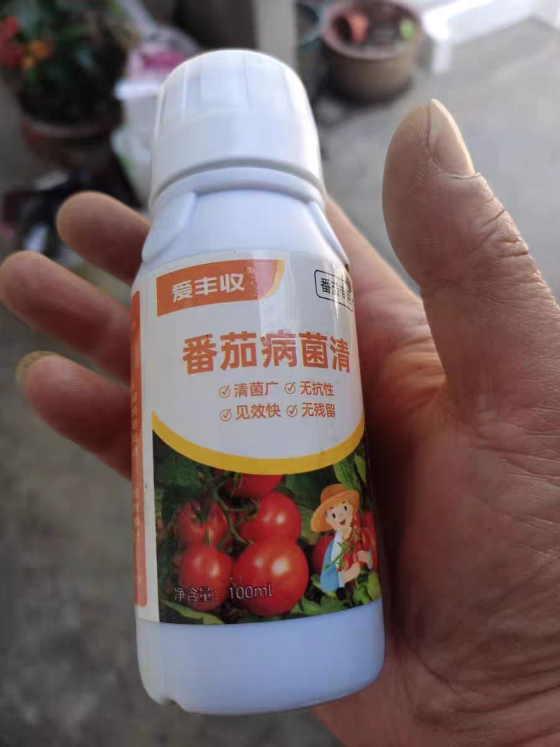 番茄病菌净番茄专用晚疫病棉疫病溃疡病猝倒病黄枯萎早疫