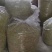 金银花