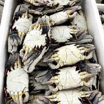 丹东东港当地大公蟹，保证质量4到6两一个，一箱20斤
