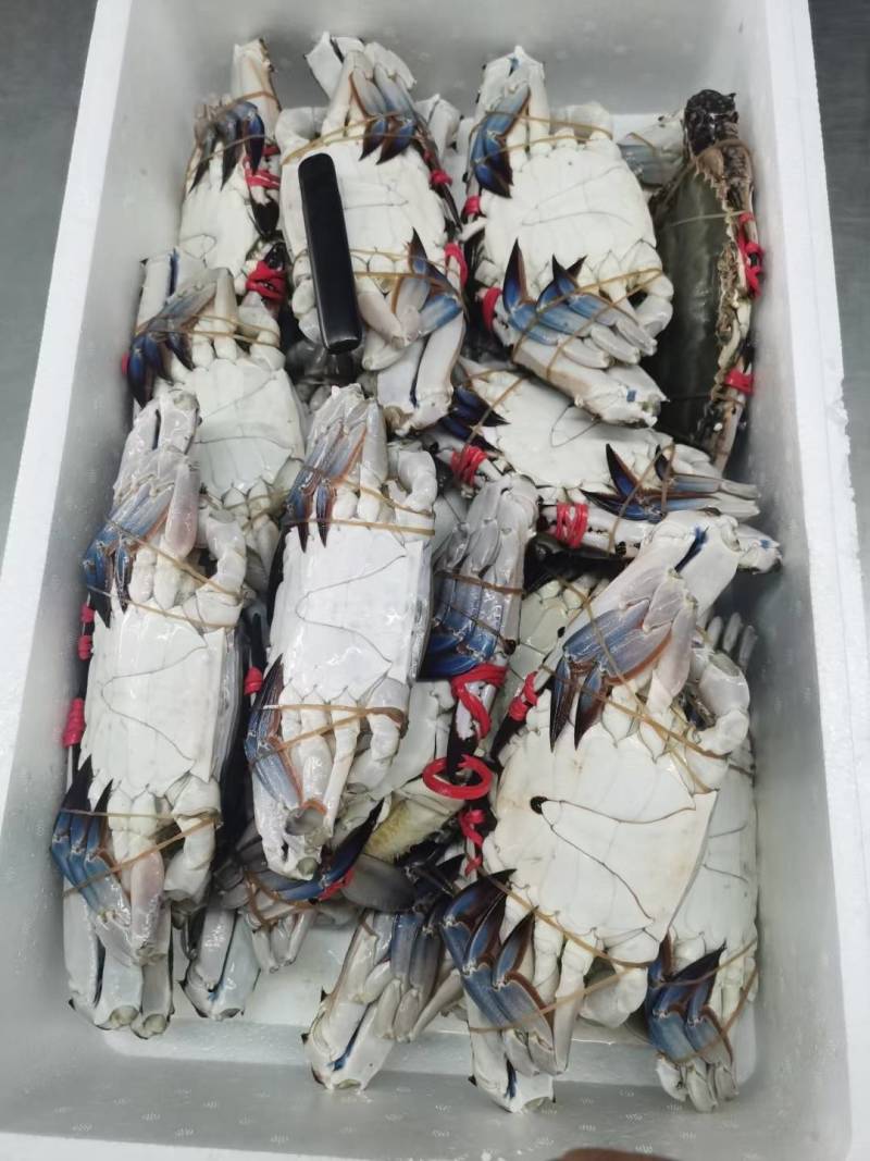 丹东东港当地大公蟹，保证质量4到6两一个，一箱20斤