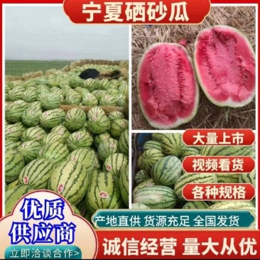 【优选直供】宁夏中卫硒沙瓜产地直发货源充足致电咨询