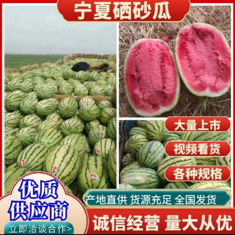 【优选直供】宁夏中卫硒沙瓜产地直发货源充足致电咨询