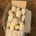 土豆黄皮黄心保质保量,一手货源批发市场商超代发全国