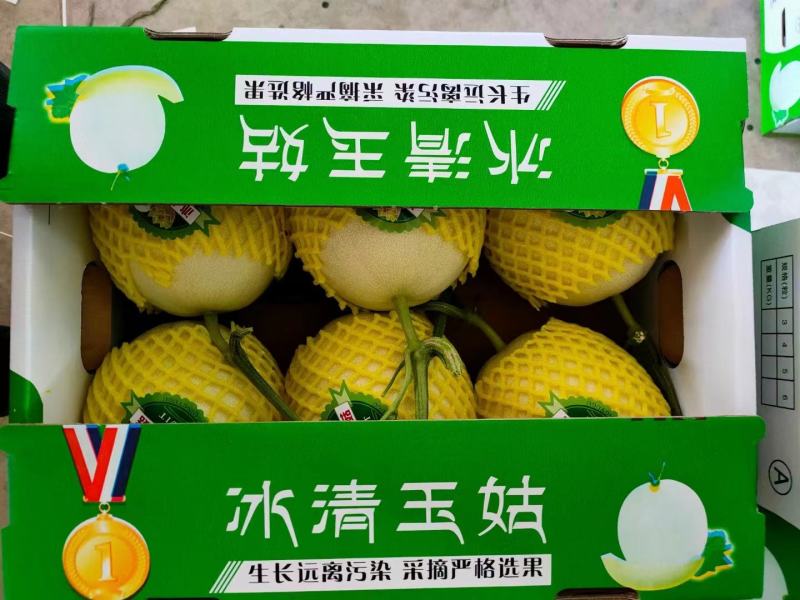 山东潍坊寿光久红瑞大量有货全国接单承接电商商超直播带货甜度高