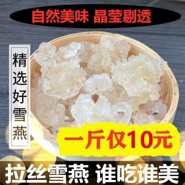 2023新货缅甸雪燕野生特级拉丝500拉丝雪燕可搭配桃胶