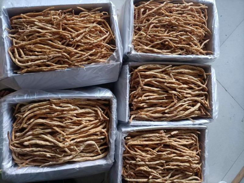 川明参无硫货