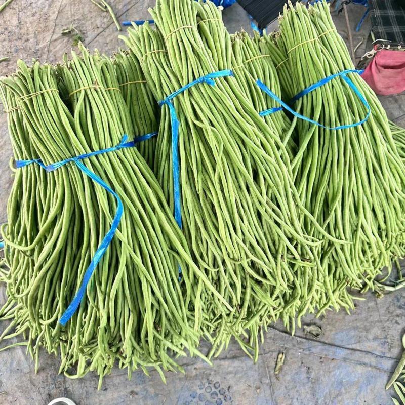 热卖中，长豆角，基地直供，质量优，价格实惠。