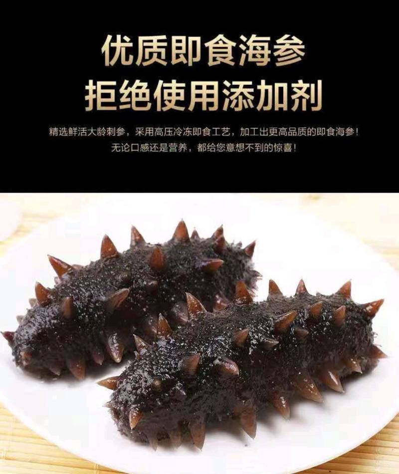 [精品辽参]海参鲜食海参水产基地一手货源支持一件代发
