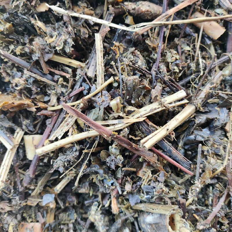 脱水中药渣草料