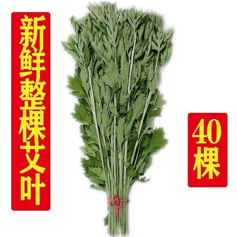 艾草叶新鲜端午节野生干艾叶产后月子泡脚泡澡药包驱蚊整颗挂