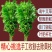 艾草叶新鲜端午节野生干艾叶产后月子泡脚泡澡药包驱蚊整颗挂