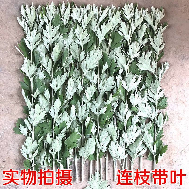 艾草叶新鲜端午节野生干艾叶产后月子泡脚泡澡药包驱蚊整颗挂