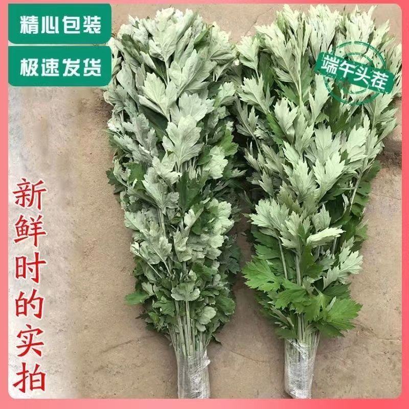 艾草叶新鲜端午节野生干艾叶产后月子泡脚泡澡药包驱蚊整颗挂