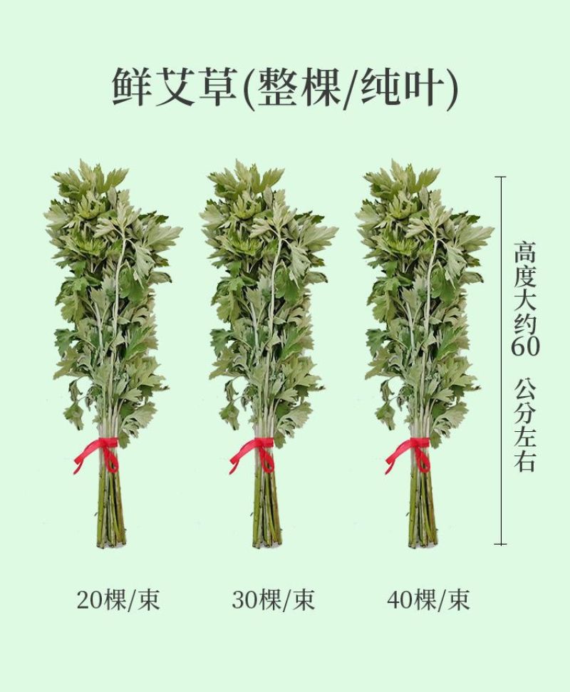 艾草叶新鲜端午节野生干艾叶产后月子泡脚泡澡药包驱蚊整颗挂