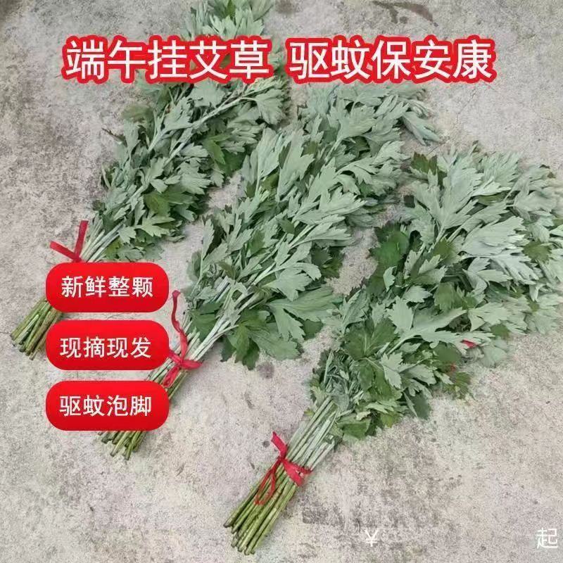 艾草叶新鲜端午节野生干艾叶产后月子泡脚泡澡药包驱蚊整颗挂