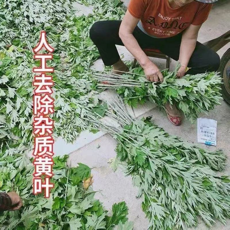 艾草叶新鲜端午节野生干艾叶产后月子泡脚泡澡药包驱蚊整颗挂