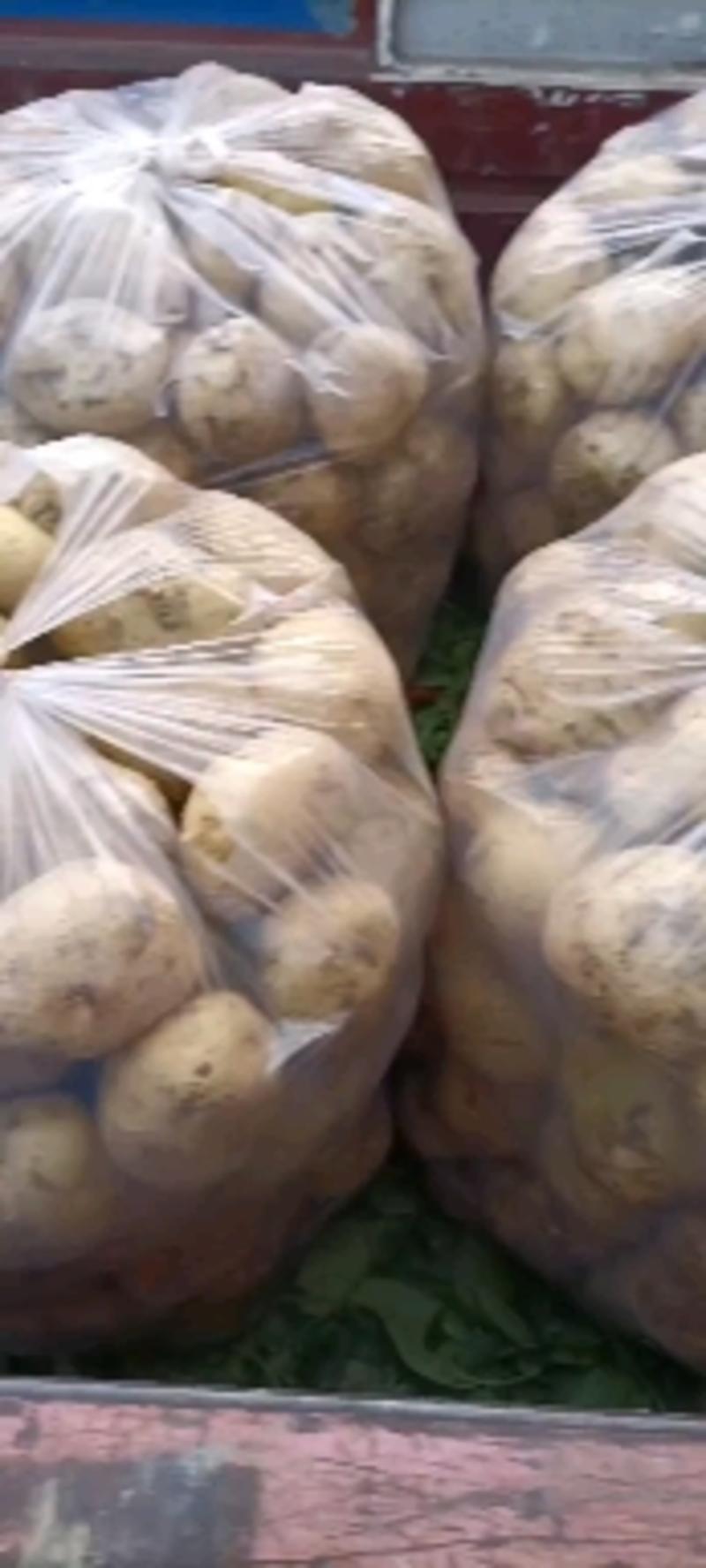 宜城土豆开始供应中，欢迎各地客商来看货，。。。。。。。