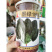 墨绿1805菠菜种子耐寒抗病黑圆叶直立菠菜种600克原装
