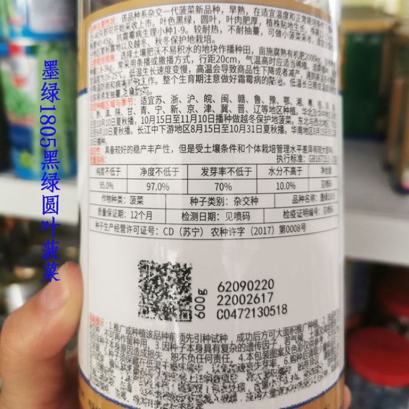 墨绿1805菠菜种子耐寒抗病黑圆叶直立菠菜种600克原装