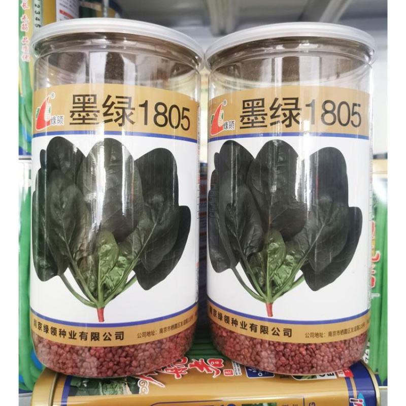 墨绿1805菠菜种子耐寒抗病黑圆叶直立菠菜种600克原装