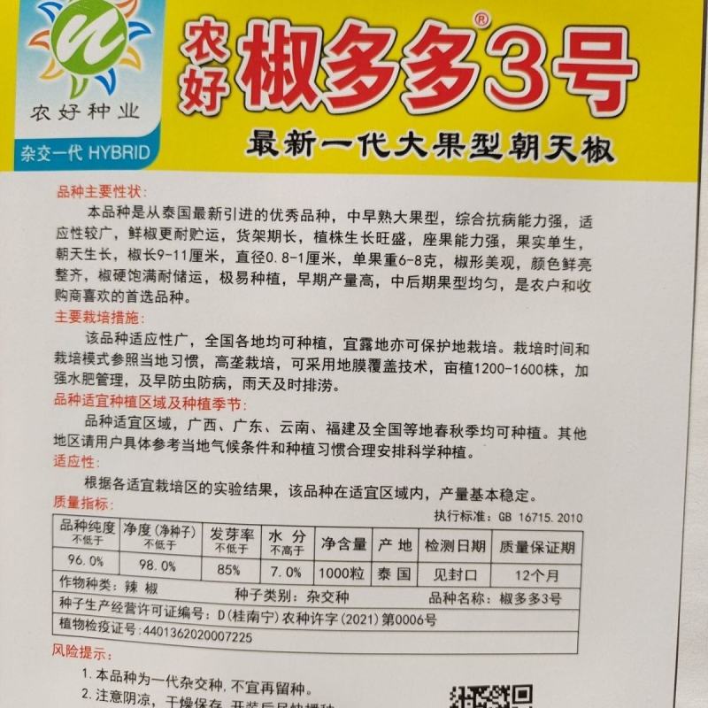 椒多多二号大果早熟朝天椒种子辣椒种子椒多多2号