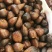 大量库存蛇皮果欢迎各位卖家下单