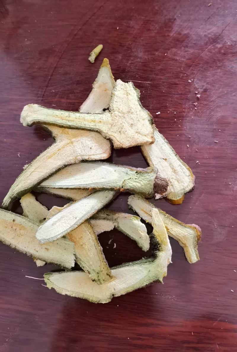 寄生寄生片槲寄生桑寄生