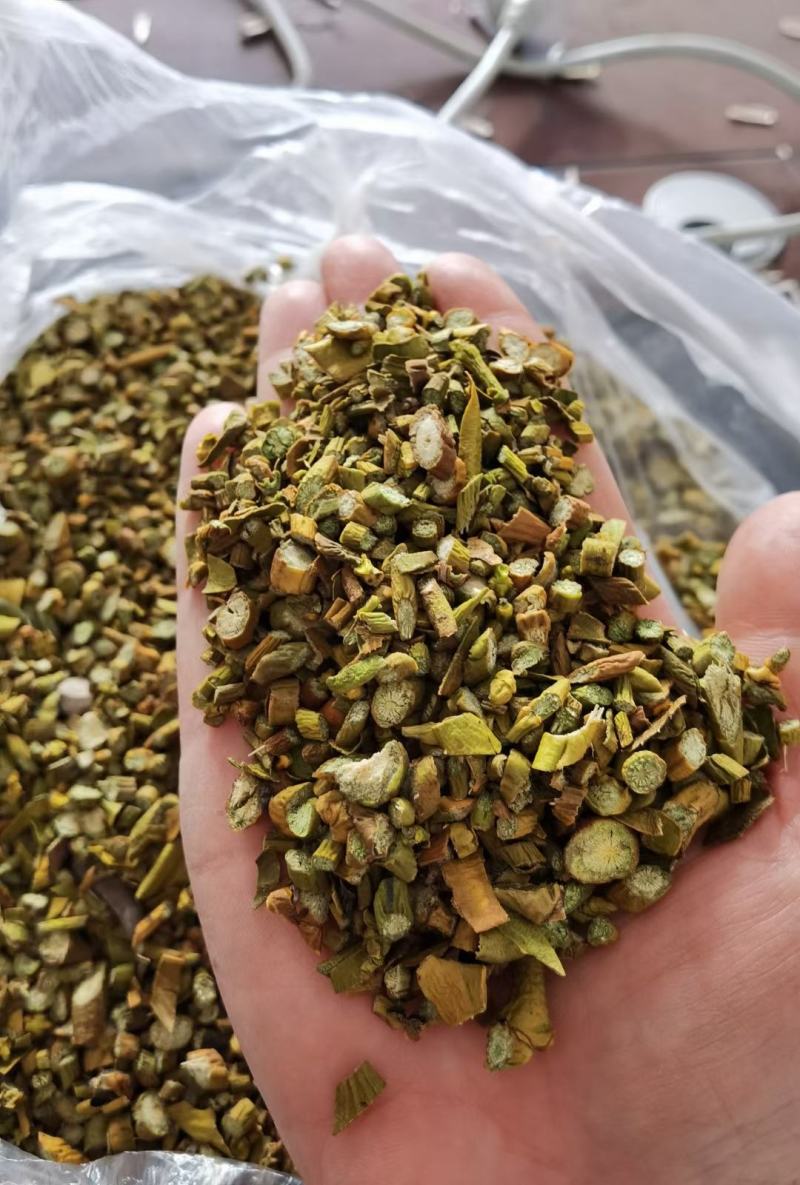 寄生寄生片槲寄生桑寄生