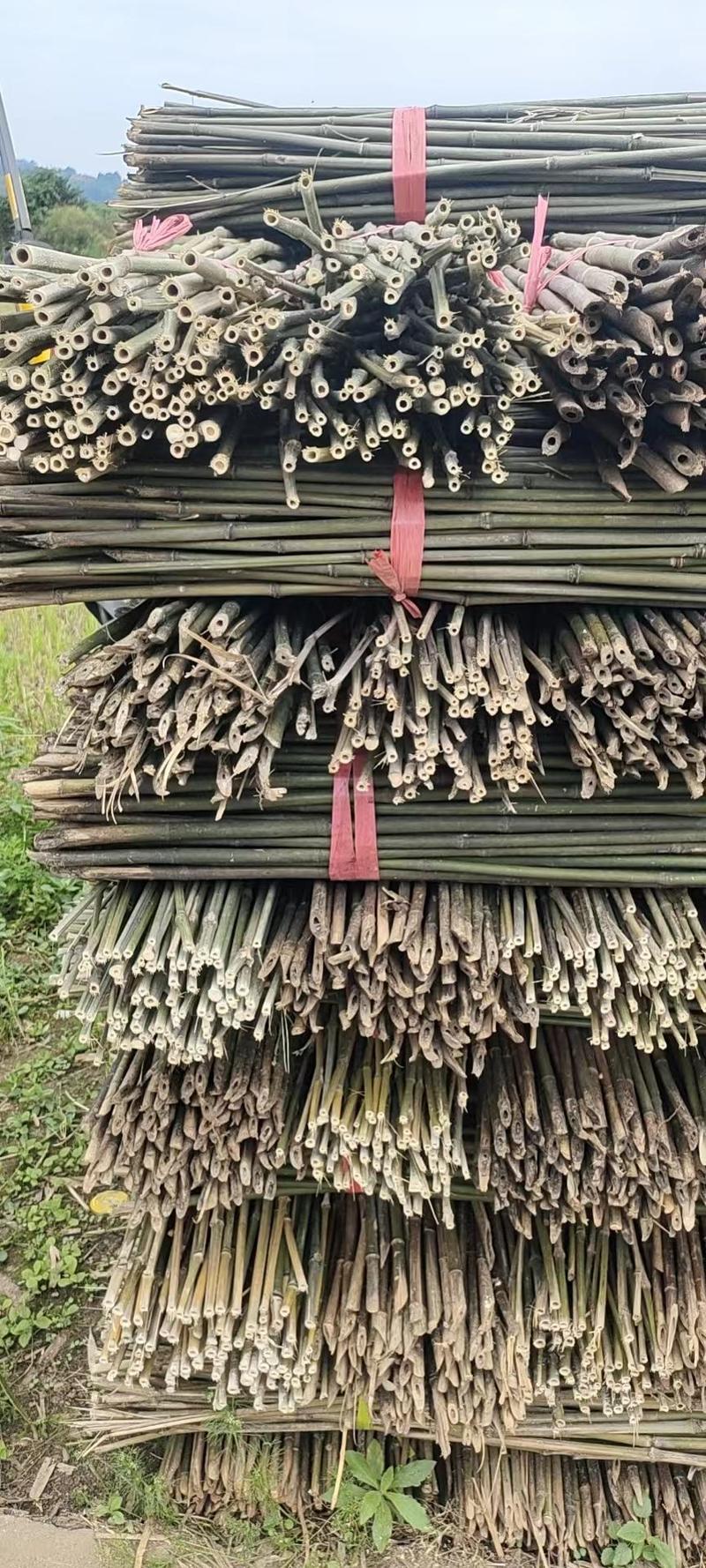 菜架竹，金寨县产地直发，可来电定制规格，可选择品种！