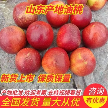 【价格下滑】油桃山东临沂费县产地直供一手货源实话实说