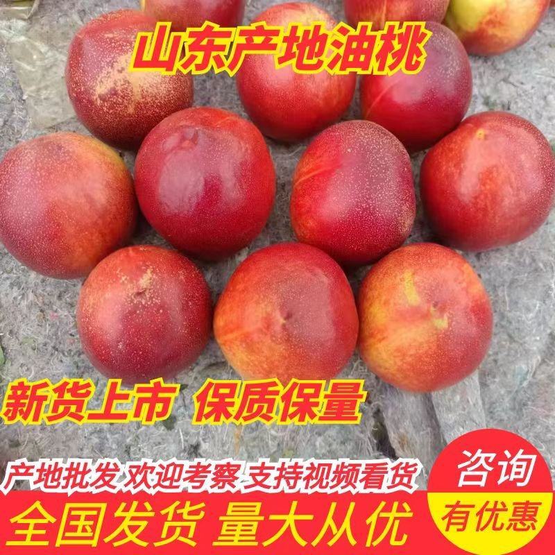 【价格下滑】油桃山东临沂费县产地直供一手货源实话实说