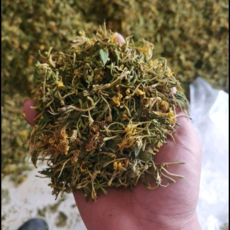 贵州野生金银花，大量供应质量保证欢迎采购合作共赢