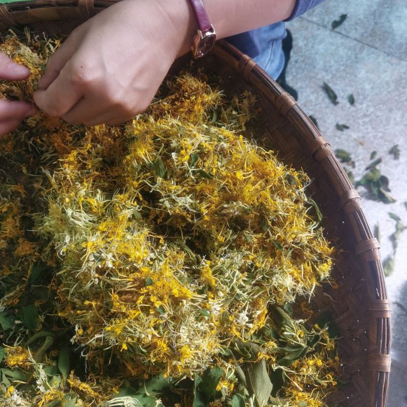 金银花山银产地直发贵州高山金银花无硫磺自然晾干！