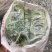 地标产品博白空心菜火热上市需要的老总速来订购！