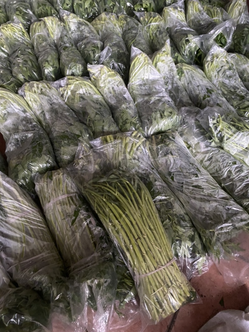 地标产品博白空心菜火热上市需要的老总速来订购！