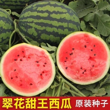 陕西精品甜王，口感甜皮毛瓜型好，产地直供，诚信经营！