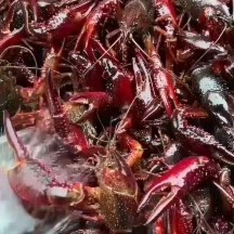大闸蟹龙虾一手货源产地直销