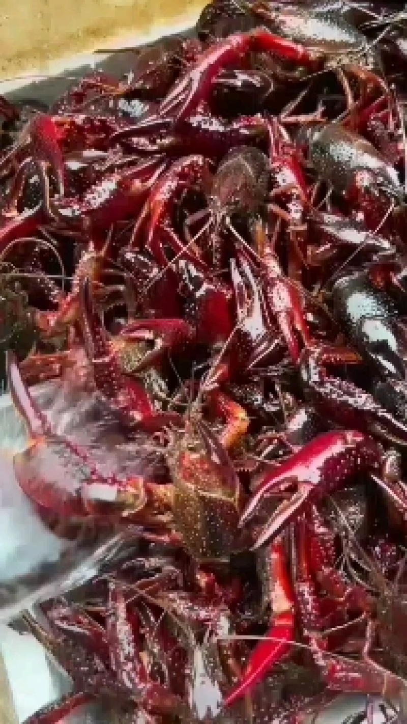 大闸蟹龙虾一手货源产地直销