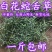 正品白花蛇舌草中药材包邮