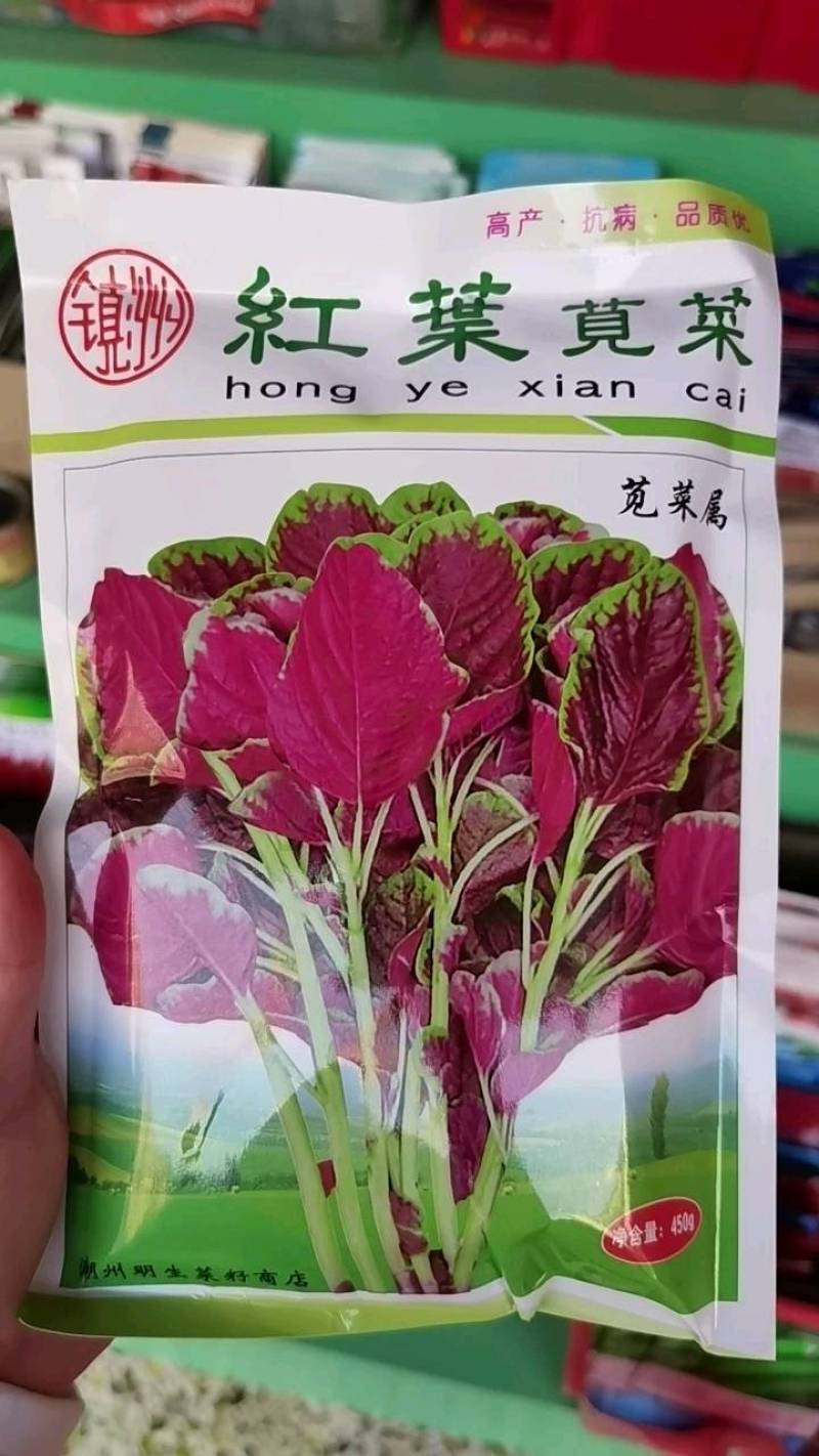 明生种业红苋菜种子大红圆叶中熟耐热耐旱