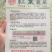 明生种业红苋菜种子大红圆叶中熟耐热耐旱