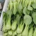 【热卖推荐】精品上海青常年供应质量保证一手货源全国发货