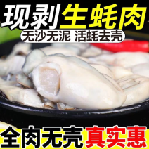 生蚝肉