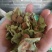 青柿蒂。颜色好没有杂质