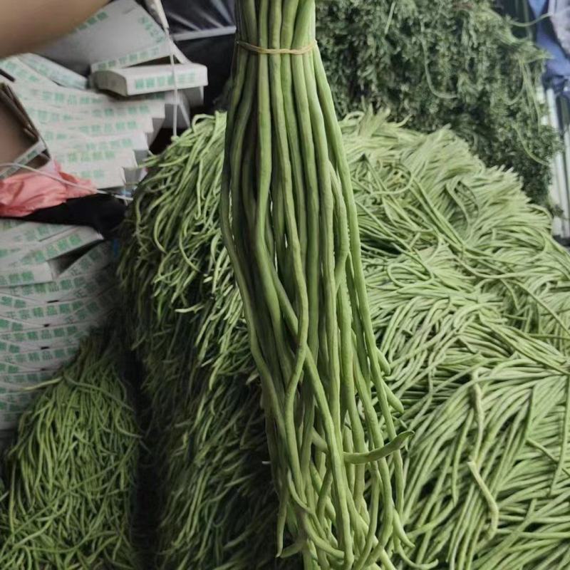 豆角，精品青条豆角基地，颜色青绿，条形直柳，实力代发全国