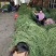 豆角，精品青条豆角基地，颜色青绿，条形直柳，实力代发全国