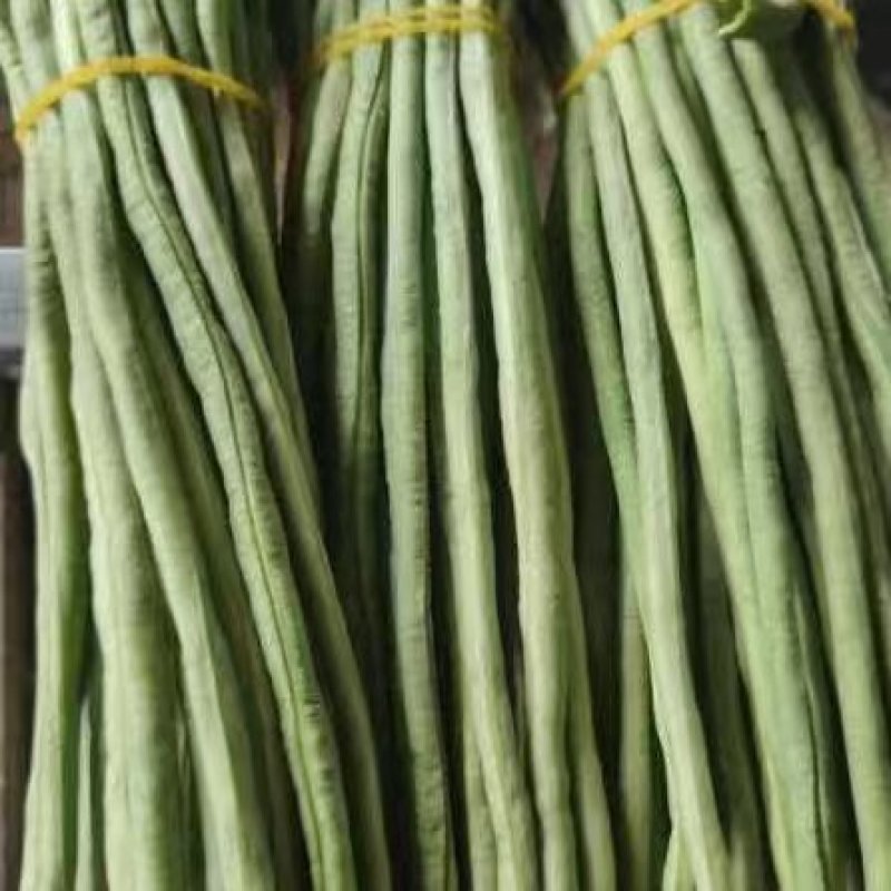 豆角，精品青条豆角基地，颜色青绿，条形直柳，实力代发全国