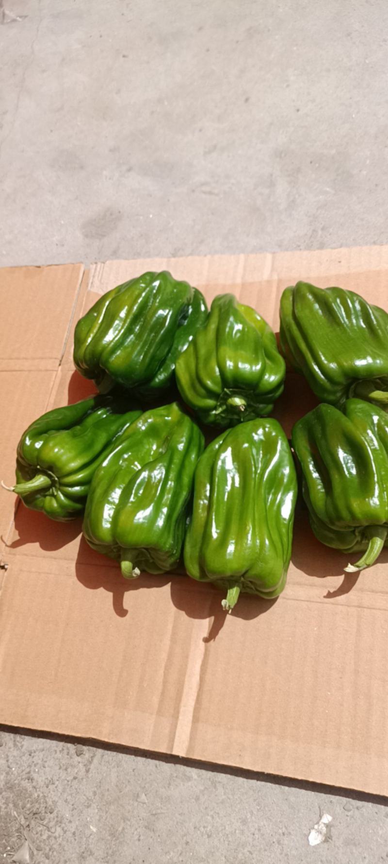 麻辣大辣椒