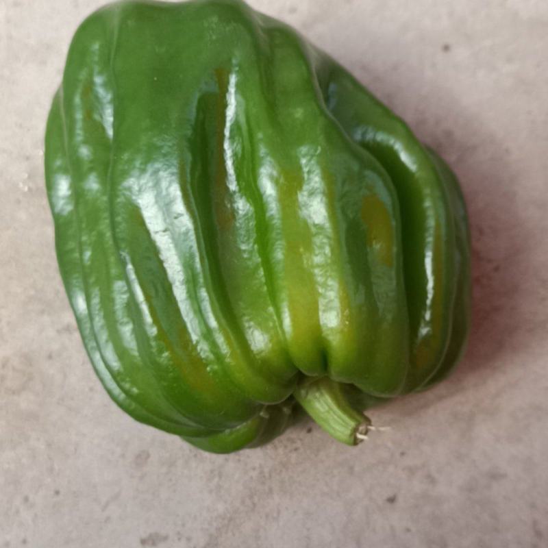 麻辣大辣椒