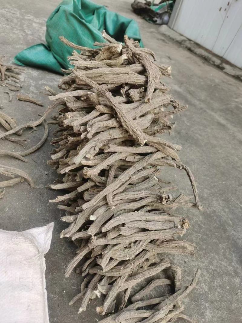 优质续断有大量货源欢迎骚扰